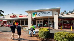 Tax-Return-Springfield-Lakes